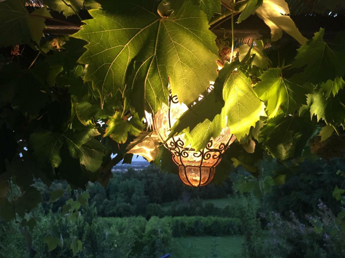 Podere Di Costabella 科内利亚诺 外观 照片