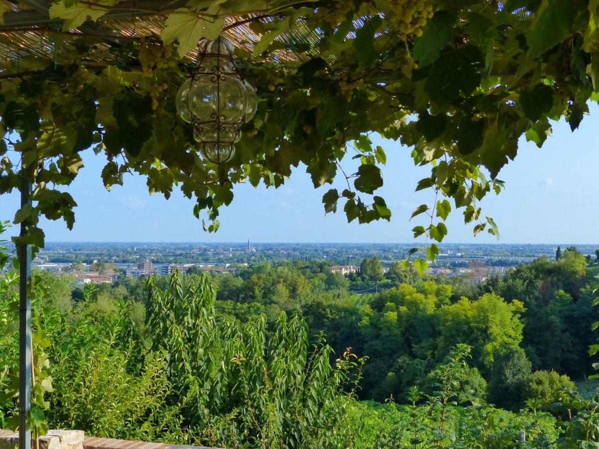 Podere Di Costabella 科内利亚诺 外观 照片